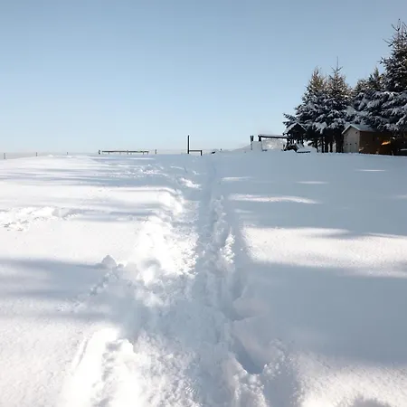 לינה וארוחת בוקר Malinowa 3*